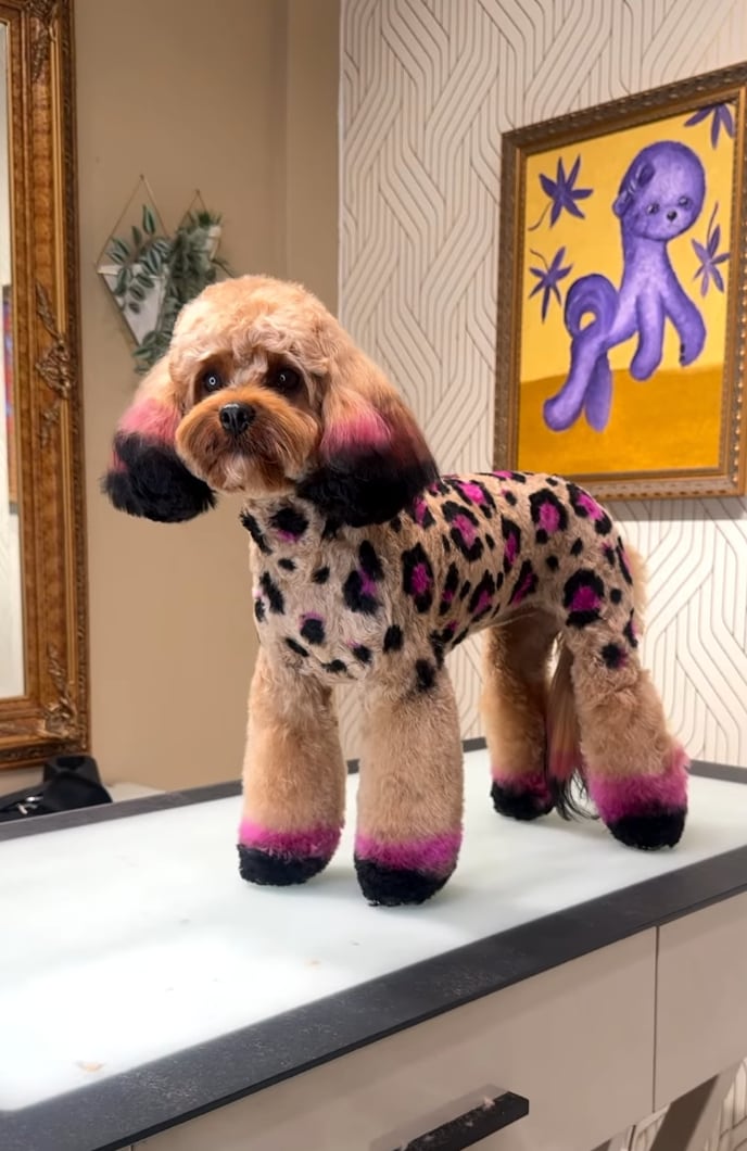 From giraffes and tigers to skeletons, mythical beasts, and even Pokémon.