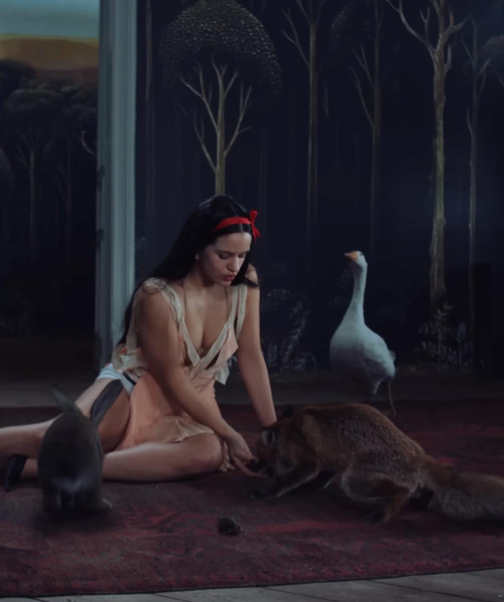 “El Zorro” (“The Fox”) is an alias Rauw Alejandro has used in his creative projects.