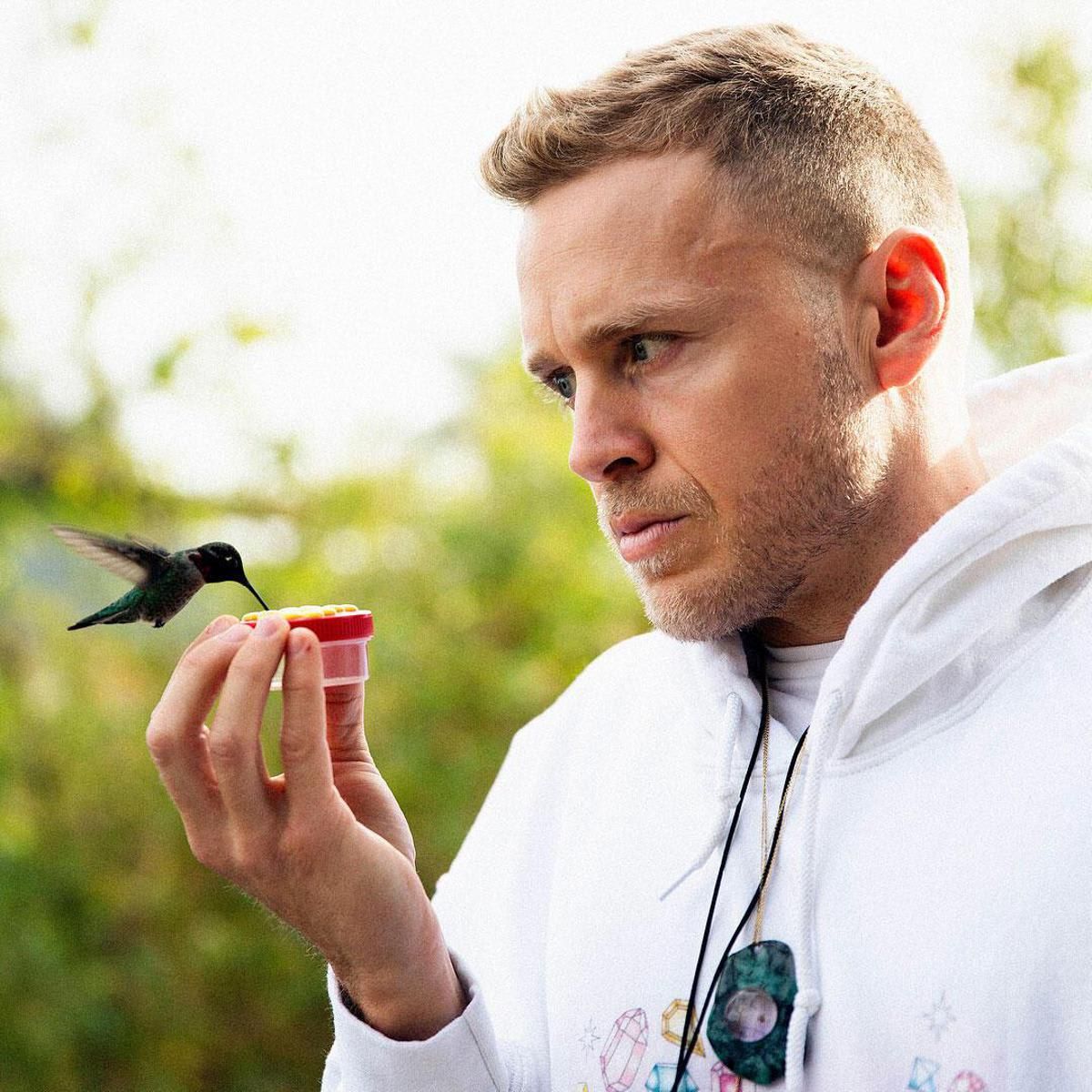 Spencer Pratt's hummingbird