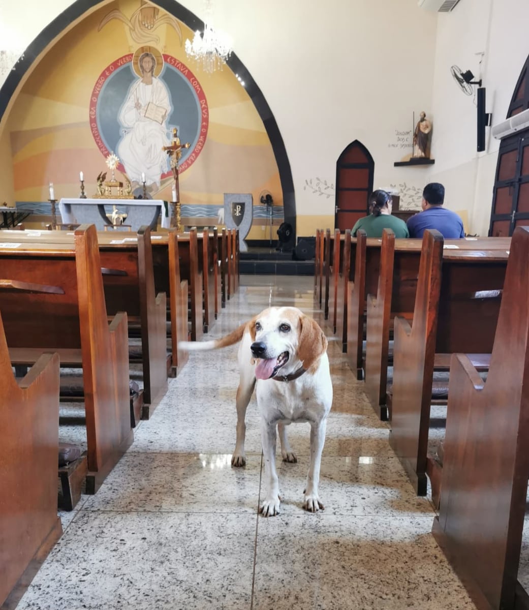 Today, Johnny strolls through the neighborhood like a true parish member, but he never misses his cue to join Father Luiz Paulo before Mass.