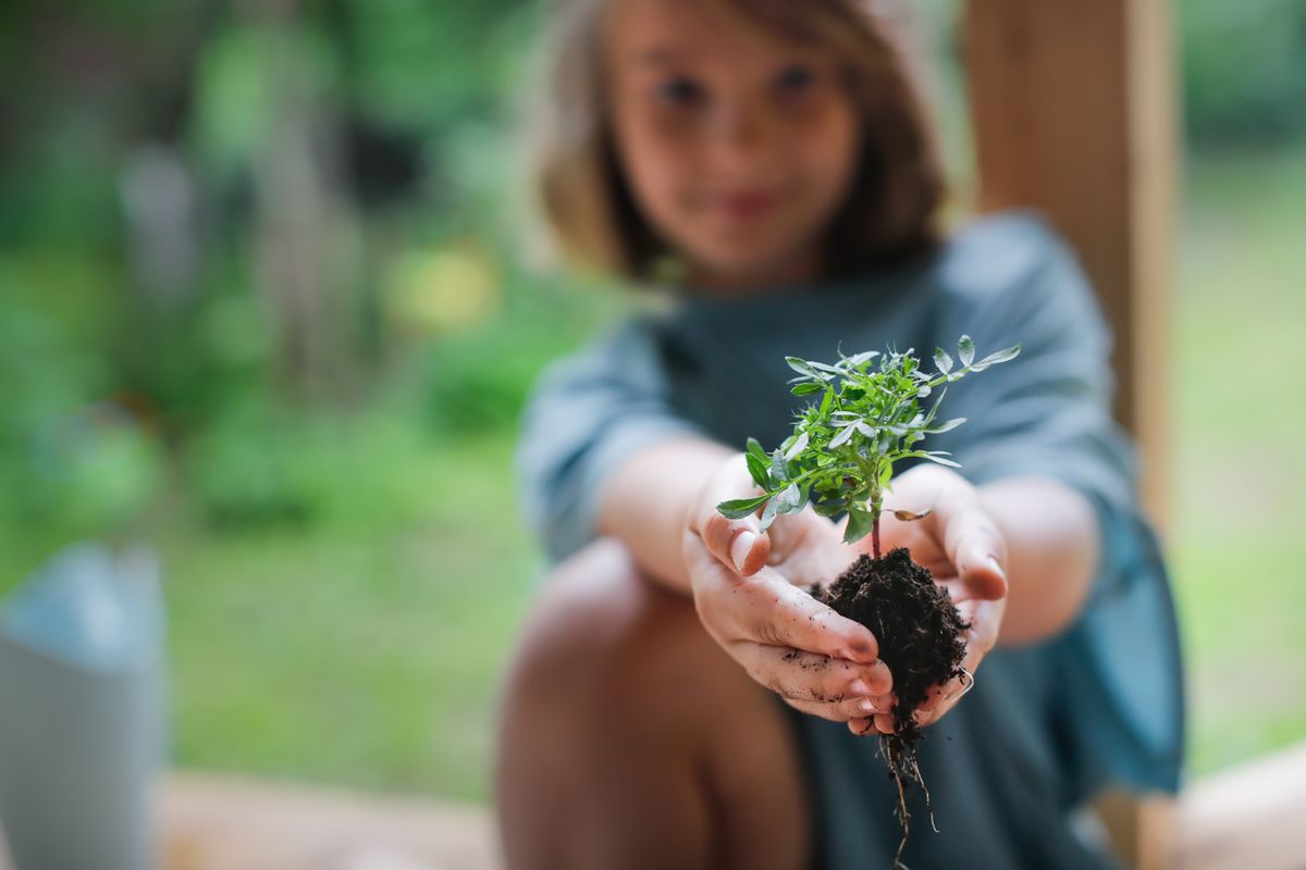 This activity is the perfect introduction to concepts like pollination and biodiversity