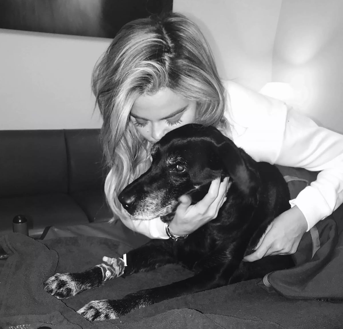 Gabbana, Khloé Kardashian’s beloved dog, who passed away in 2018.