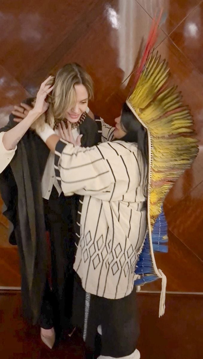 Angelina Jolie was presented with seeds of the tiriricaplant by Sonia Guajajara, Minister of Indigenous Peoples of Brazil