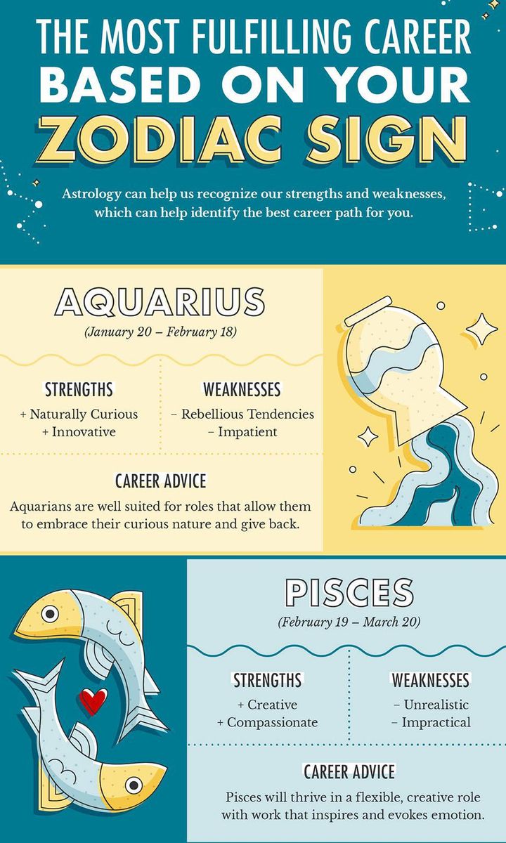 zodiac infographic