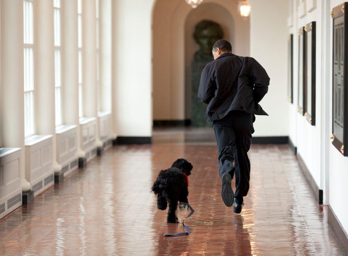 U.S. President Barack Obama runs down a corridor with the family's dog