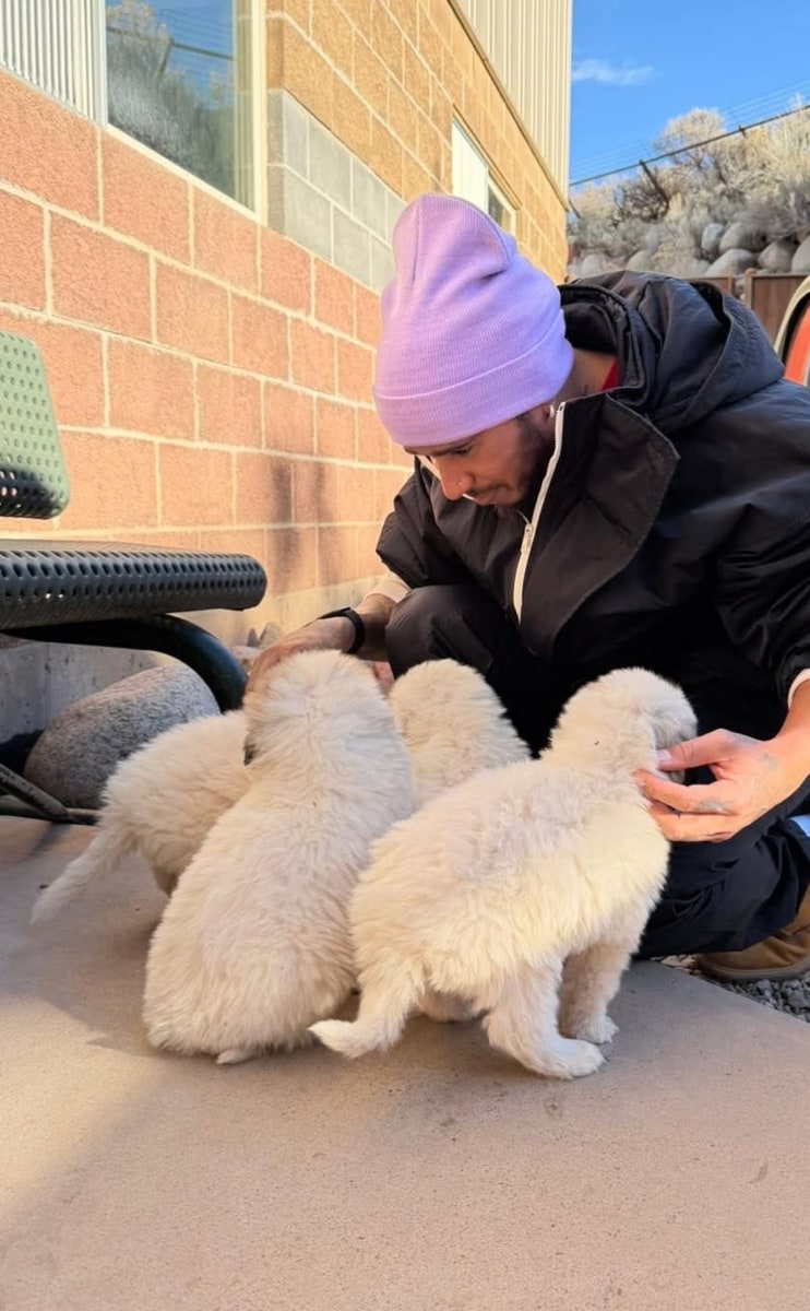 Lewis shared photos of his latest moments in January, including a series of adorable pics with a litter of white puppies. 
