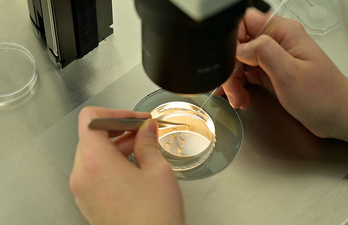 Patients should ask how many mature eggs the clinic expects to retrieve based on their age and ovarian reserve