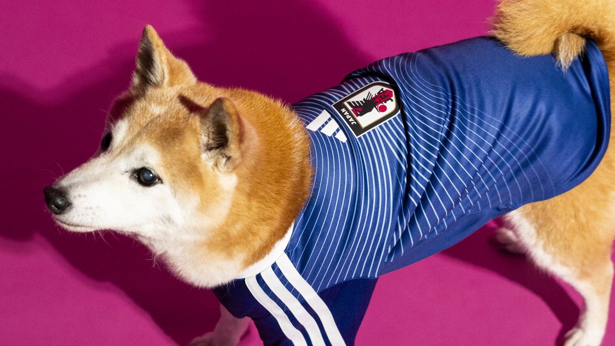 Photo © 2026 Instar Images/The Grosby Group

Adidas is giving football-loving pet owners a stylish way to include their four-legged companions in the excitement of the 2026 FIFA World Cup with the launch of its new pet jersey collection.
 
The collection features miniature kits inspired by four major national teams competing in the tournament: reigning champions Argentina, along with Mexico, Colombia, and Japan. Each jersey mirrors the design of the official home shirts, complete with the national federation crest and adidas logo.

Rather than simply shrinking down the human versions, the garments have been specially engineered for pets, with a tailored design that accommodates the anatomy of four-legged fans while ensuring a comfortable fit across a range of sizes. Heat-transferred detailing provides a sleek, premium finish without compromising comfort.

The adidas 2026 FIFA World Cup Pet Collection will be available starting May 1 across North America, Latin America, Japan, China, Vietnam, the Philippines, and Indonesia, just ahead of the tournaments kickoff on June 11 in the United States, which is co-hosting alongside Mexico and Canada.****

Adidas está ofreciendo a los dueños de mascotas amantes del fútbol una elegante manera de incluir a sus compañeros de cuatro patas en la emoción de la Copa Mundial de la FIFA 2026 con el lanzamiento de su nueva colección de camisetas para mascotas.

La colección presenta kits en miniatura inspirados en cuatro de las principales selecciones que competirán en el torneo: los actuales campeones, Argentina, junto con México, Colombia y Japón. Cada camiseta reproduce el diseño de los uniformes oficiales de local, completo con el escudo de la federación nacional y el logotipo de adidas.

En lugar de simplemente reducir las versiones para humanos, las prendas han sido especialmente diseñadas para mascotas, con un corte adaptado a la anatomía de los aficionados de cuatro patas, garantizando un ajuste cómodo en una amplia variedad de tallas. Los detalles aplicados mediante transferencia térmica aportan un acabado elegante y premium sin comprometer la comodidad.

La colección adidas 2026 FIFA World Cup Pet estará disponible a partir del 1 de mayo en América del Norte, América Latina, Japón, China, Vietnam, Filipinas e Indonesia, justo antes del inicio del torneo el 11 de junio en Estados Unidos, país anfitrión junto con México y Canadá.