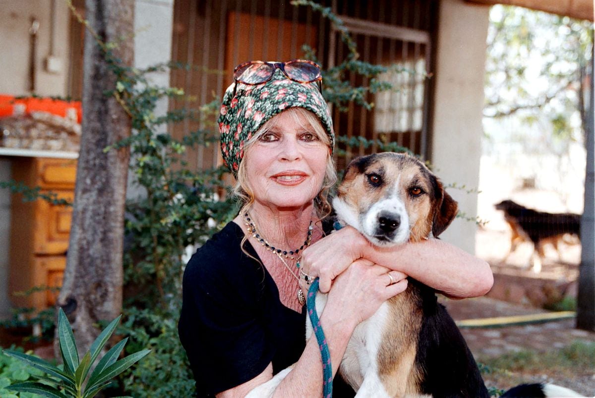 Brigitte Bardot visits her dog refuge "The Nice Dogs" of Carnoules on October 7, 2001 in Paris, France