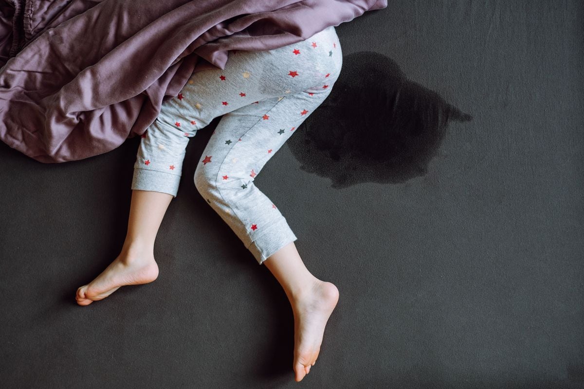 Potty training is one of those big milestones every parent both looks forward to and secretly dreads.