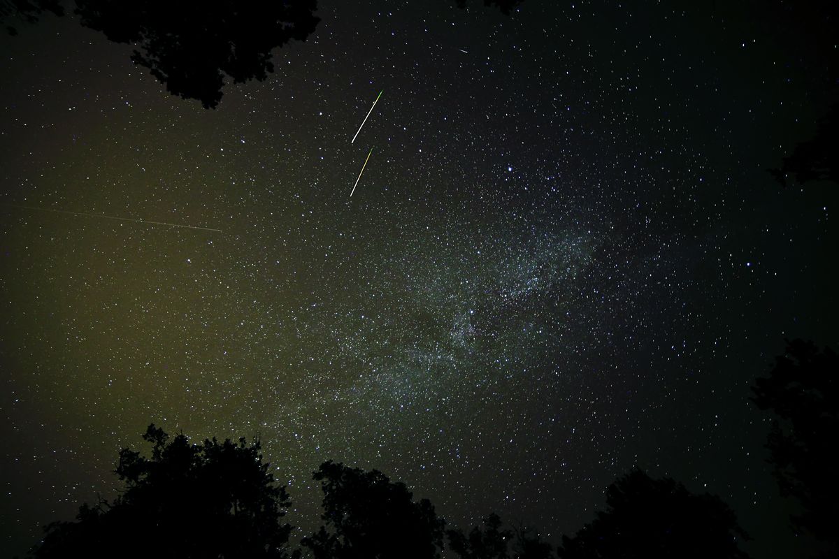 Mily Way view during the perseids meteor shower august 2013 in the Fontainebleau forest