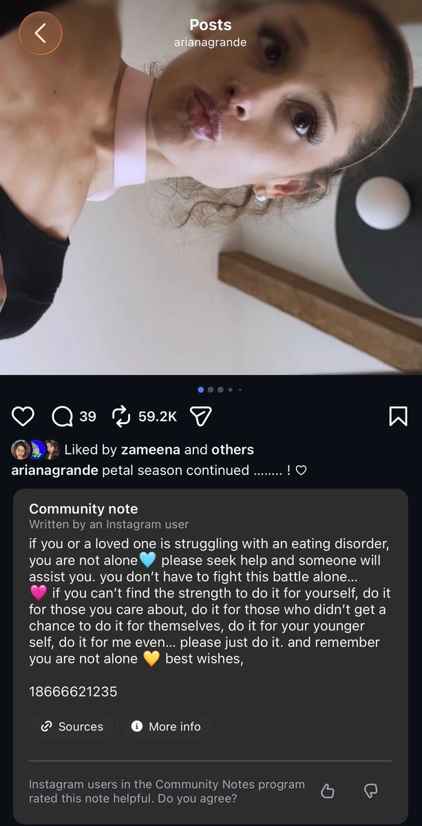 Instagram has placed a community note on her latest "Petal" music video warning viewers that the content discusses body image and eating disorders