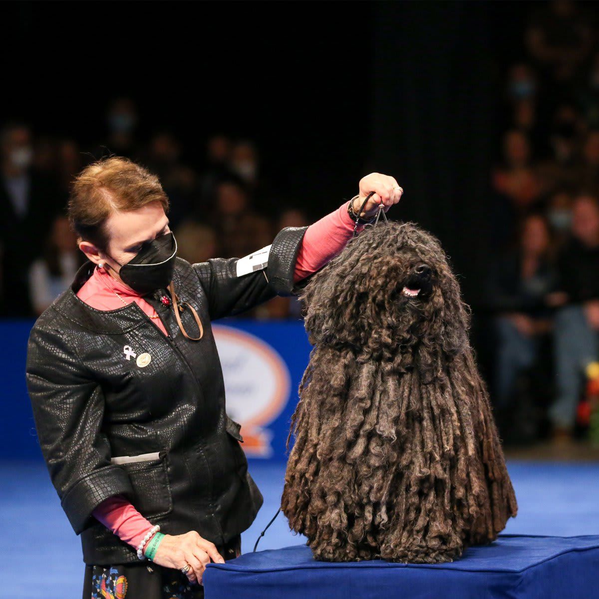 The National Dog Show Presented by Purina - Season 2021