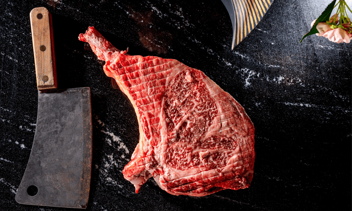 Gekko Food Tomahawk