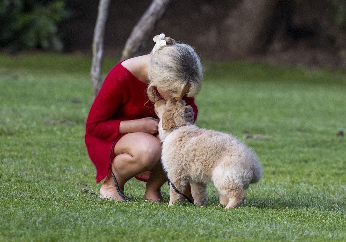 Sabrina Carpenter was spotted at a Hollywood Hills Park with her new puppy 
