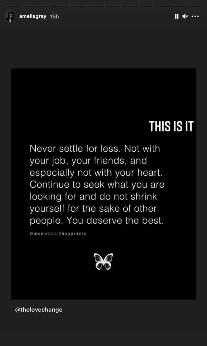 Amelia Hamlin's Instagram Story