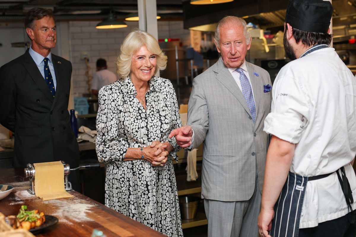 Why Queen Camilla's role is crucial to Prince Harry's reconciliation with King Charles