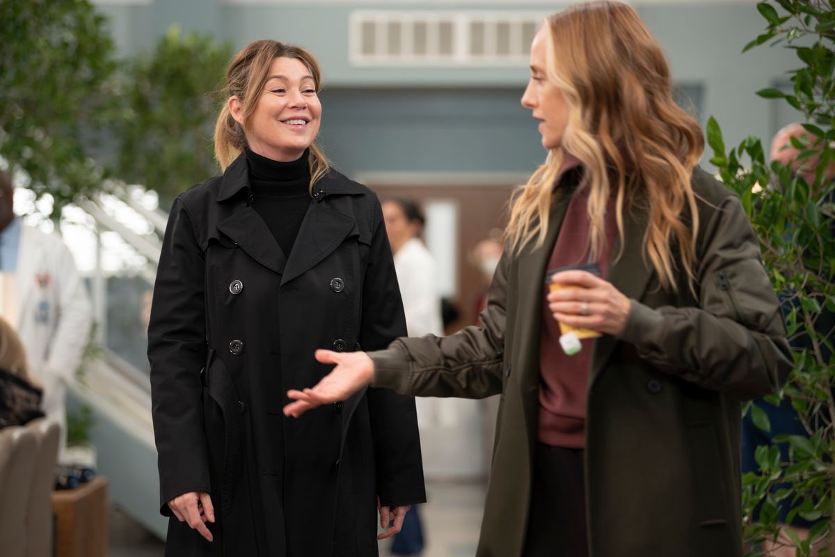 Grey's Anatomy - "Walk on the Ocean" - Meredith and Amelia work to secure funds for their research while Amelia finds herself at odds with a new attending. 