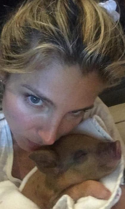 Elsa uploaded a snap of her cuddling up to a tiny piglet. <br>Photo: Instagram/@elsapataky