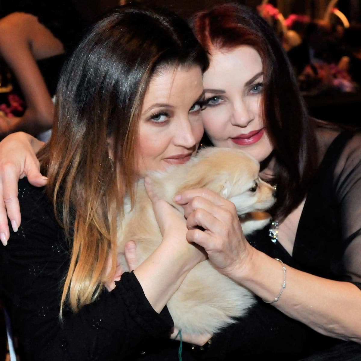 Nevada Ballet Theatre Honors Priscilla Presley As Its 2011 Woman Of The Year At The Annual Black & White Ball At Aria In CityCenter
