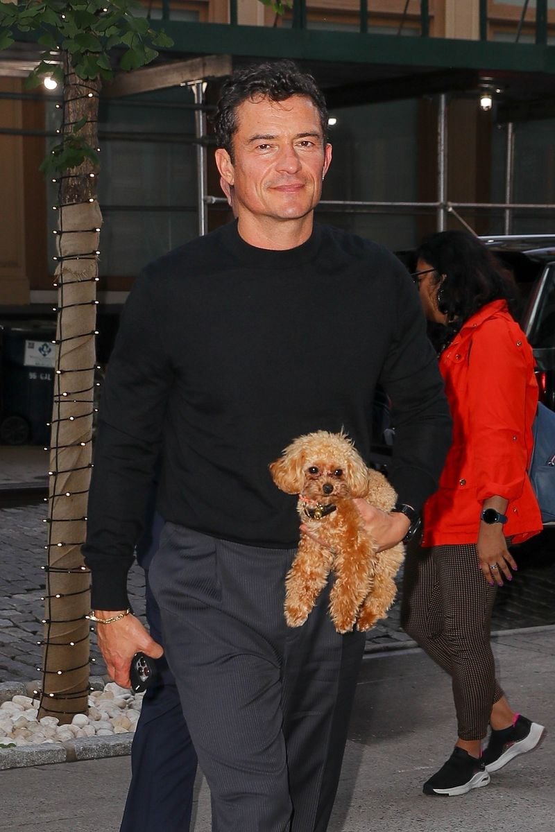 Orlando adopted the pooch last year 
