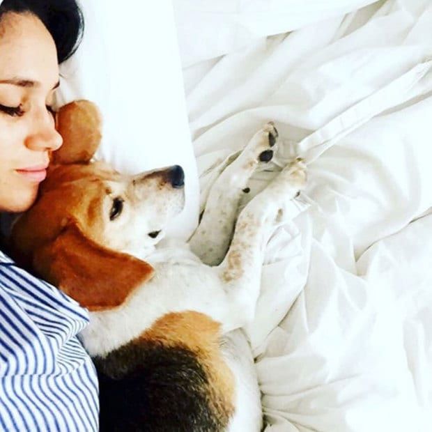 The actress likes being able to go out and walk her dogs.
Photo: Instagram/@meghanmarkle