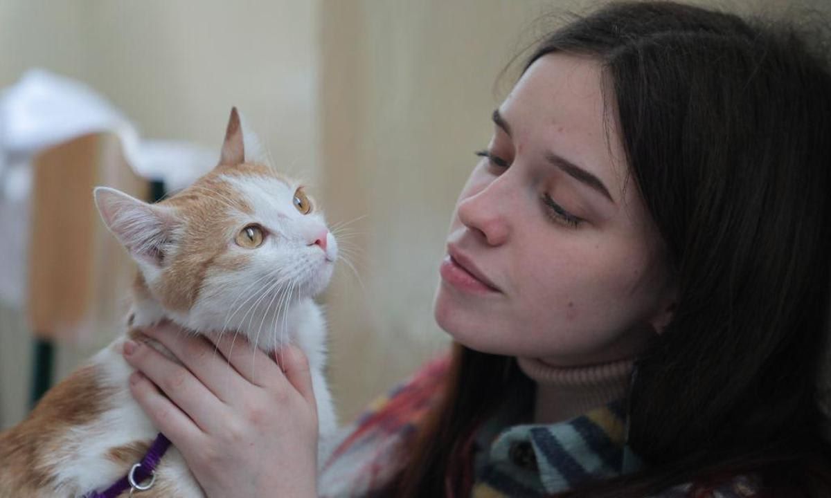 How do cats apologize to their owners?