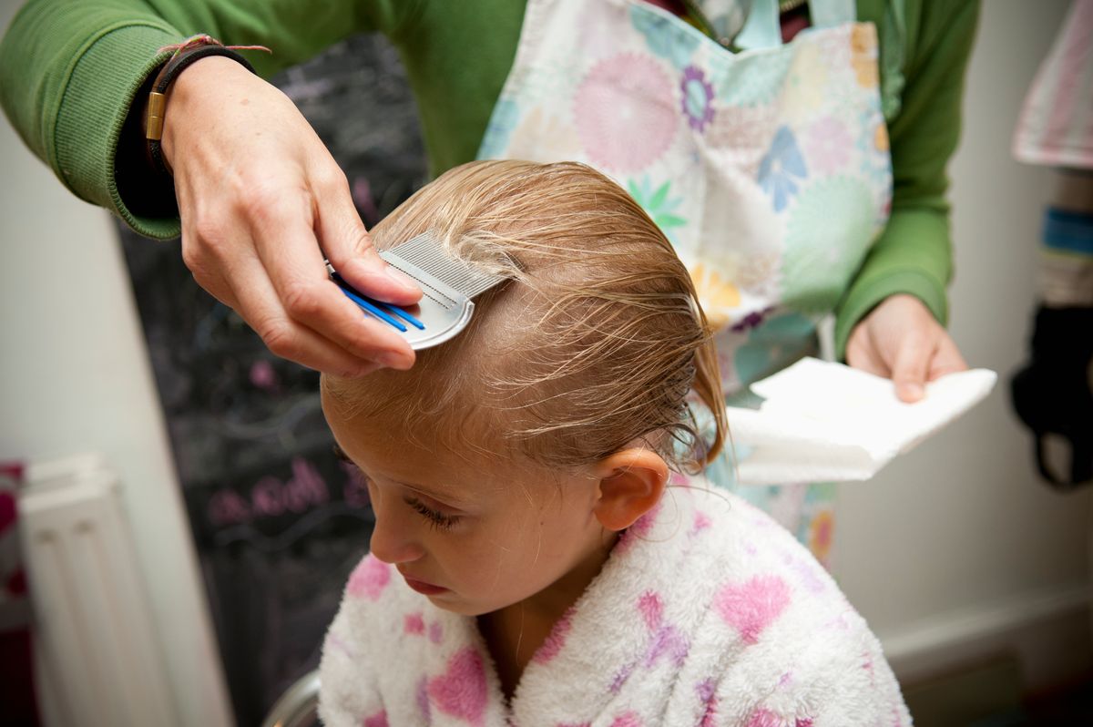 A Kid-Friendly Haircare Kit for Healthy Hair and Lice Awareness