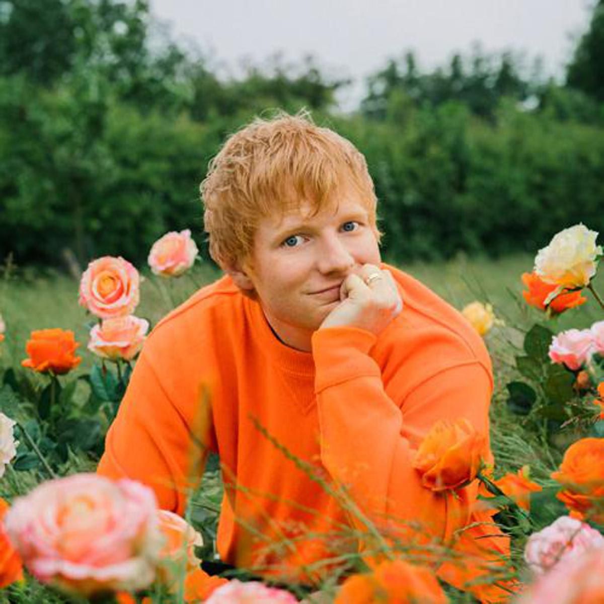 Ed Sheeran