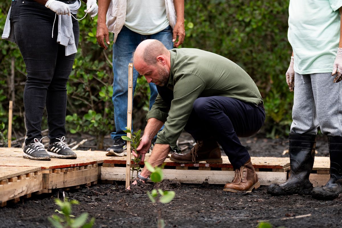 Prince William takes part in a planting activity with local Guardians during a tour of the Guapimirim mangrove area in Guanabara Bay
