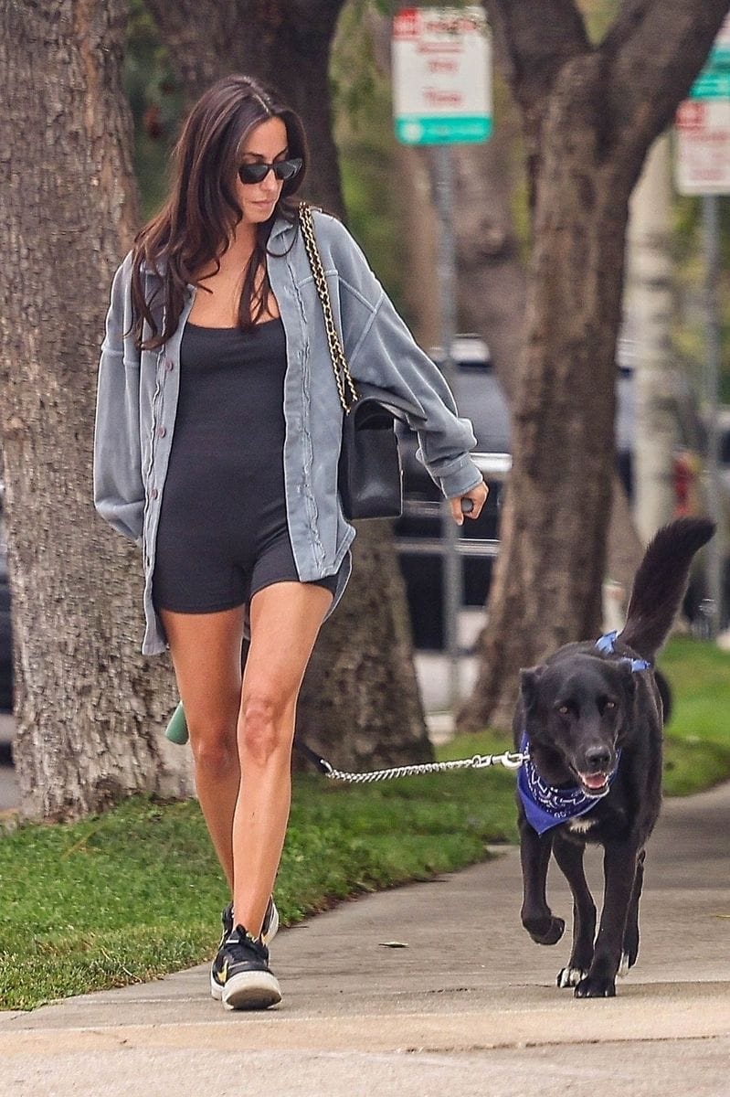 Brad Pitt’s girlfriend Ines de Ramon keeps it cool in body-hugging outfit in solo LA outing