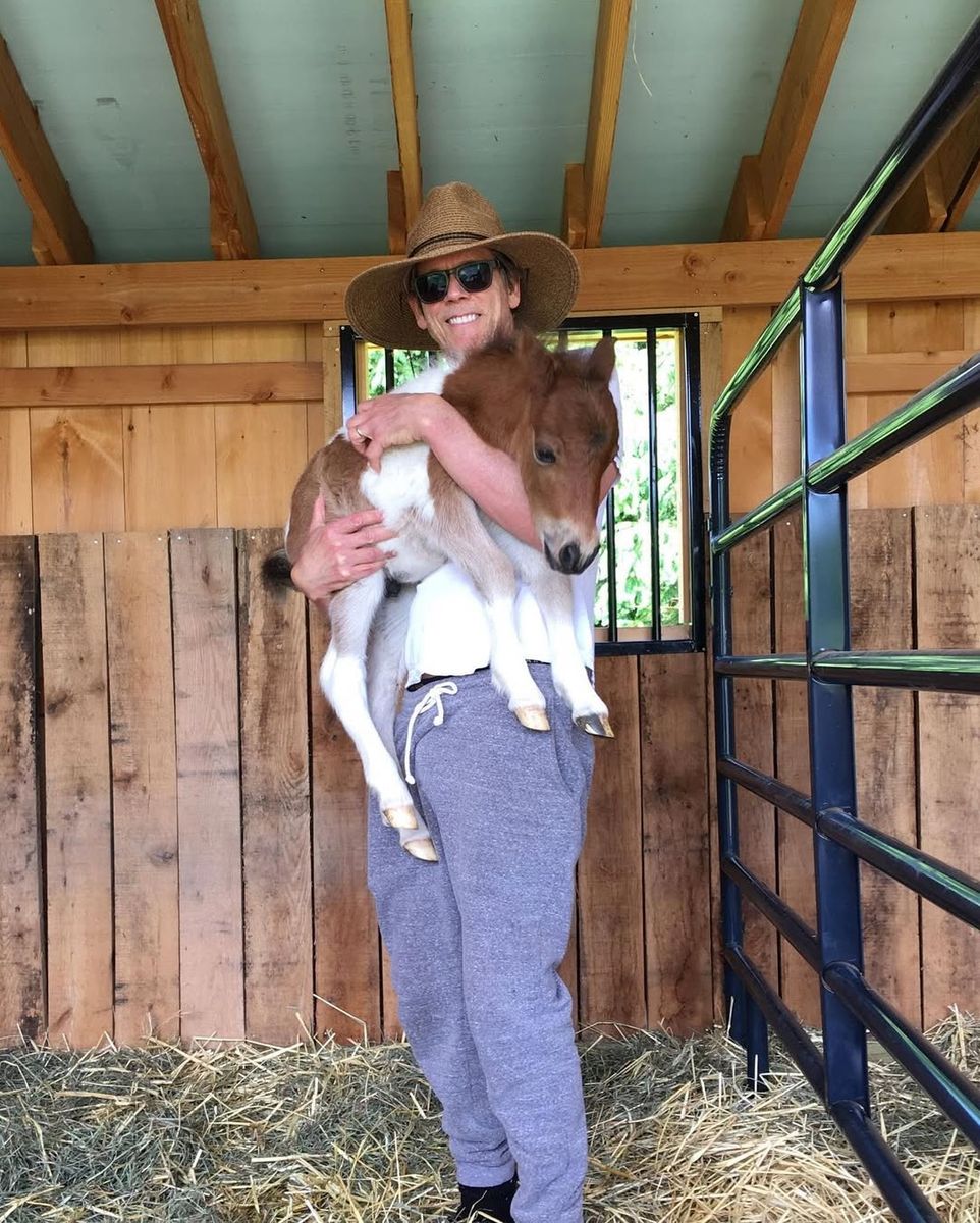 Kevin Bacon loves animals