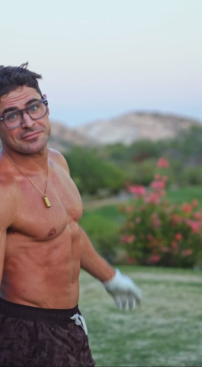 Zac and Dylan Efron are becoming the internet's latest obsession after another viral moment