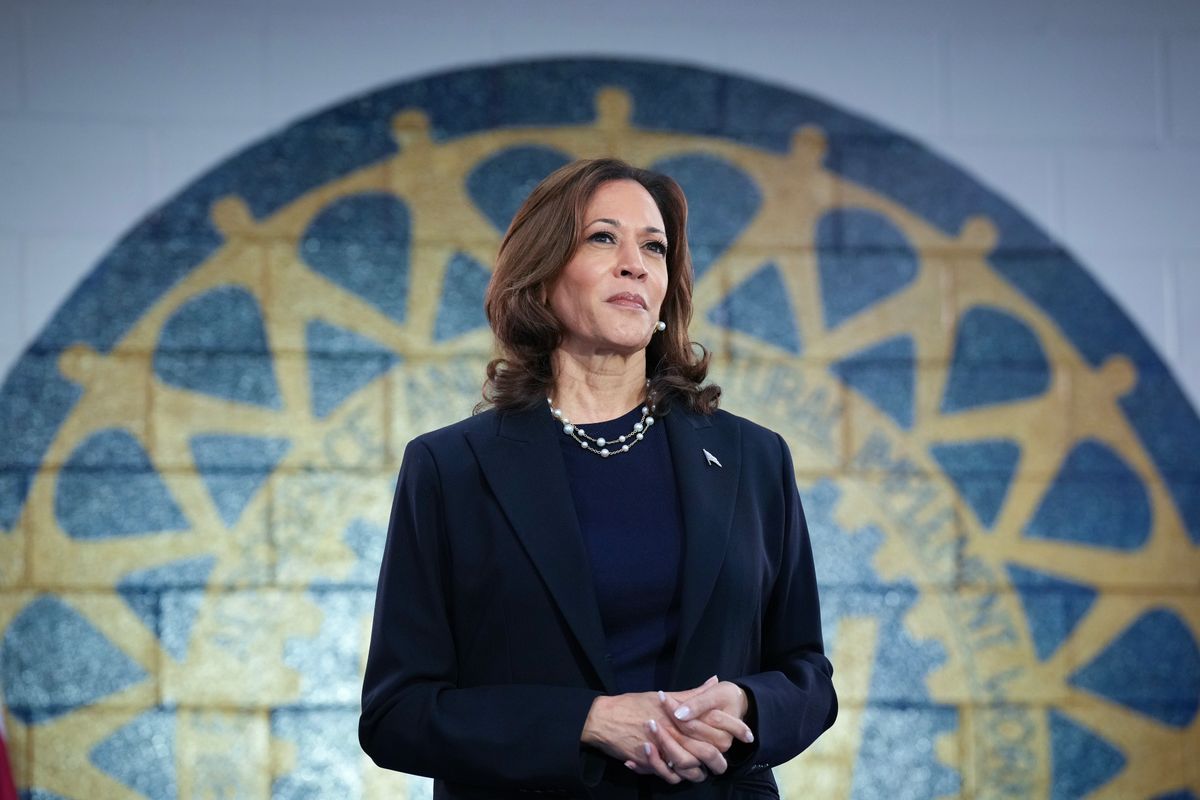 Met Gala 2025: Kamala Harris returns to the spotlight as Trump is snubbed