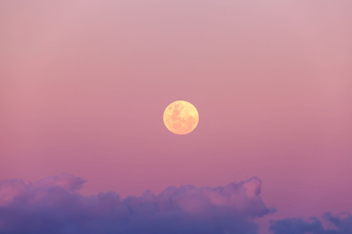 Pink Moon 2025: What it means for your Zodiac sign
