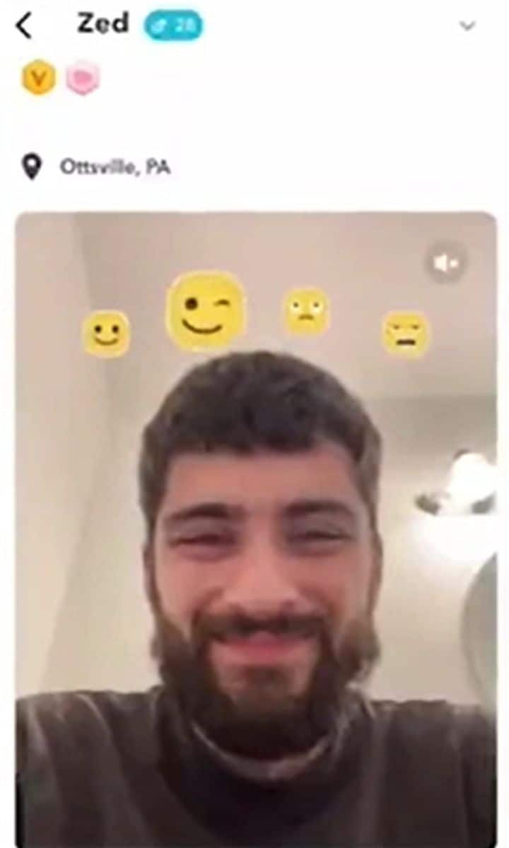 Zayn Malik allegedly spotted on dating app