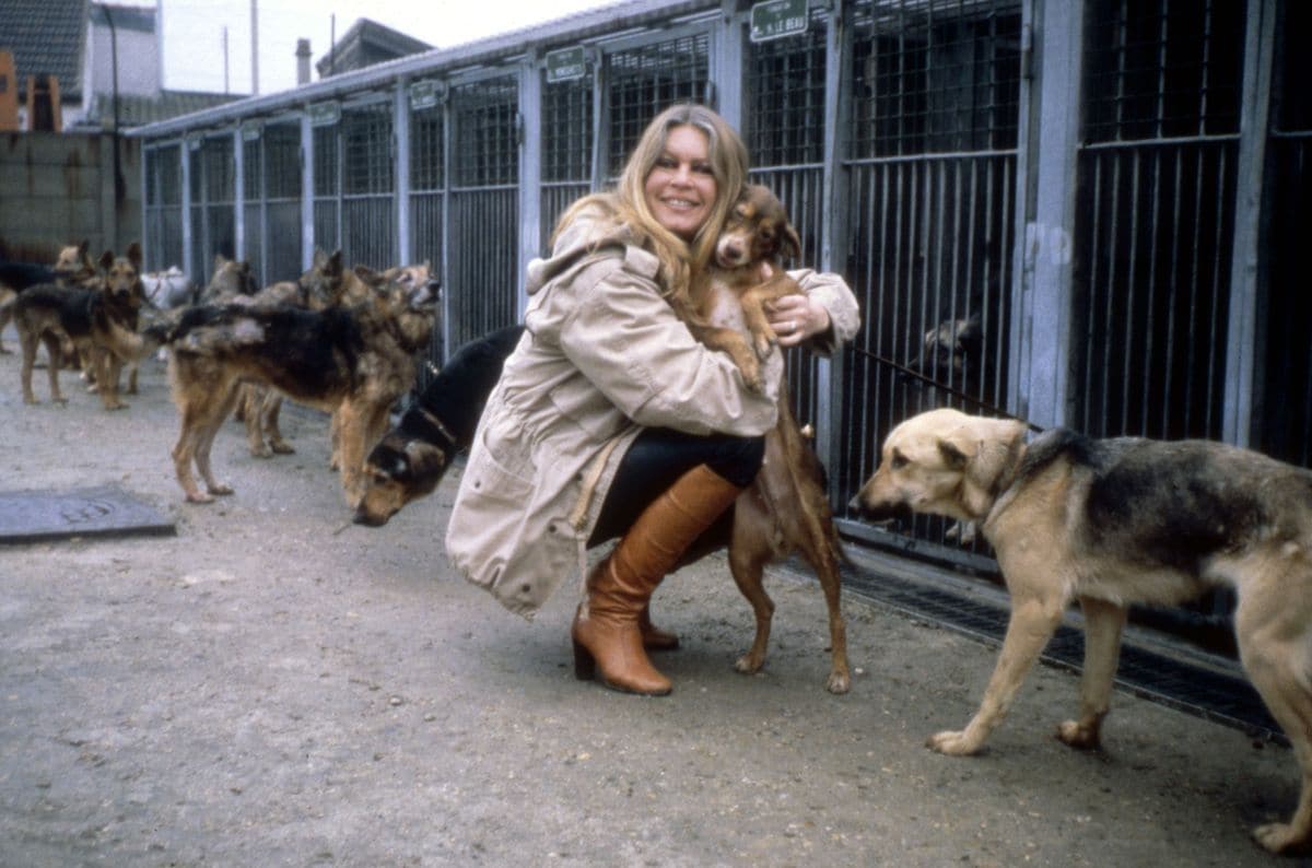 Brigitte Bardot at the SPA refuge in Gennevilliers in 1986
