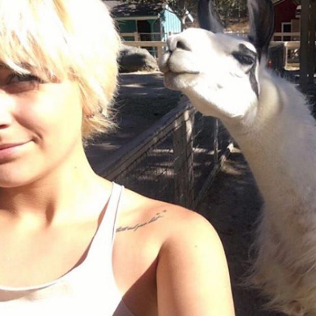 The teen snapped a selfie with a llama on the whimsical estate.
Photo: Instagram/@parisjackson
