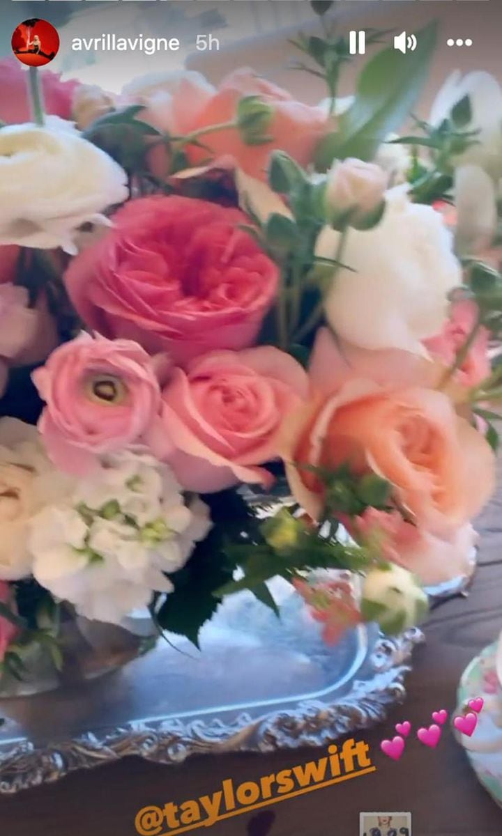 Avril Lavigne story