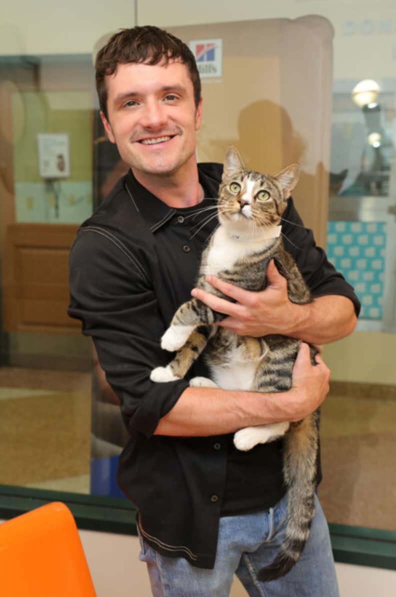 Josh Hutcherson with Catnip, a cat at Pasadena Humane.