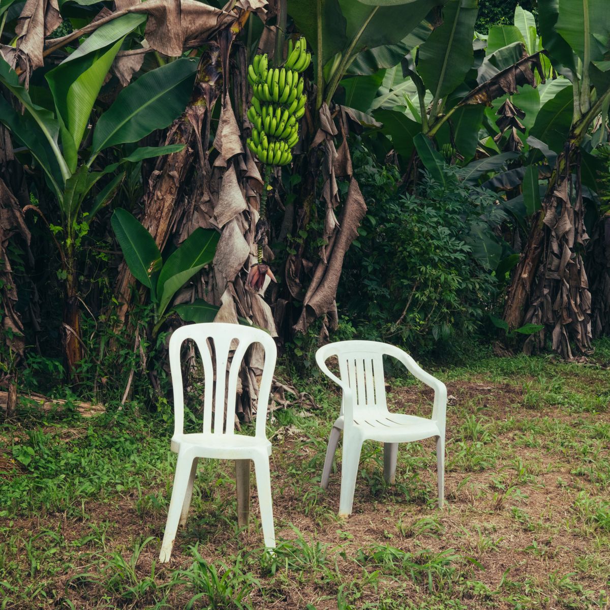 Bad Bunny's album 'DeBÍ TiRAR MáS FOToS' introduces traditional Puerto Rican sounds to the world