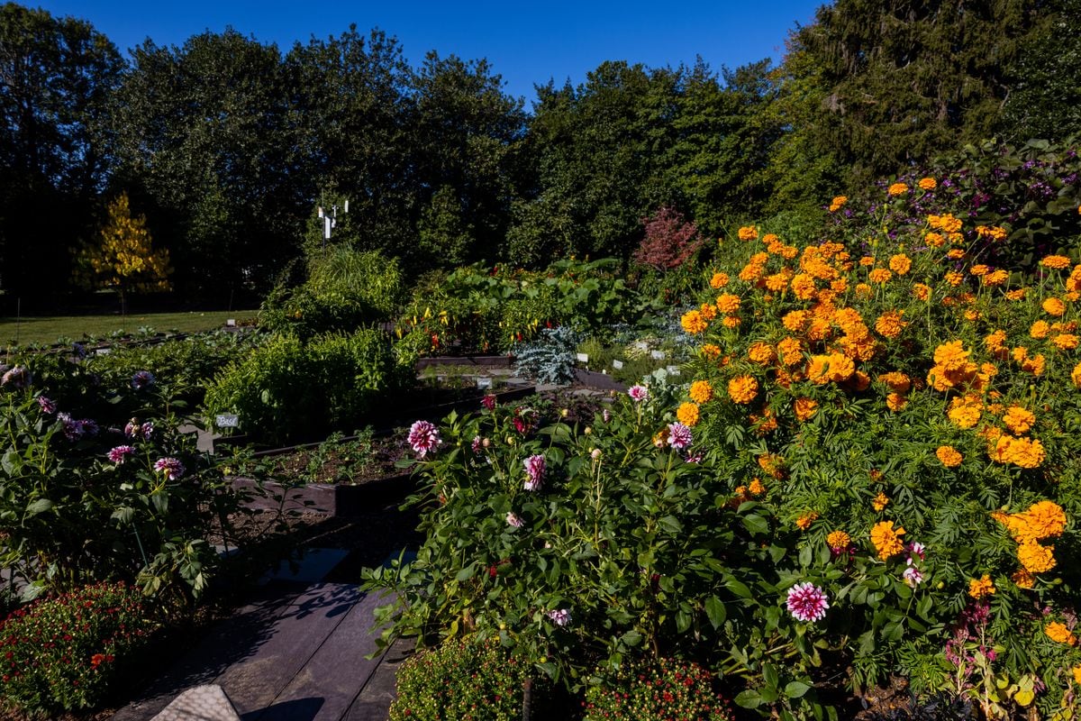 The White House Garden Tours open to the public