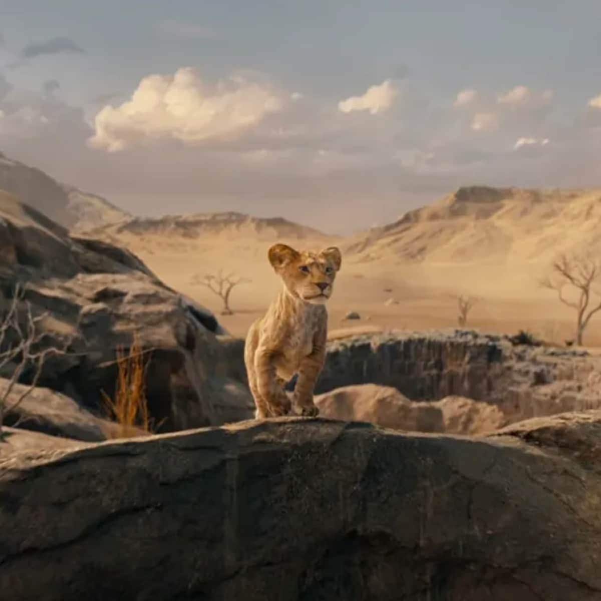  Kiara in ‘Mufasa: The Lion King’ 