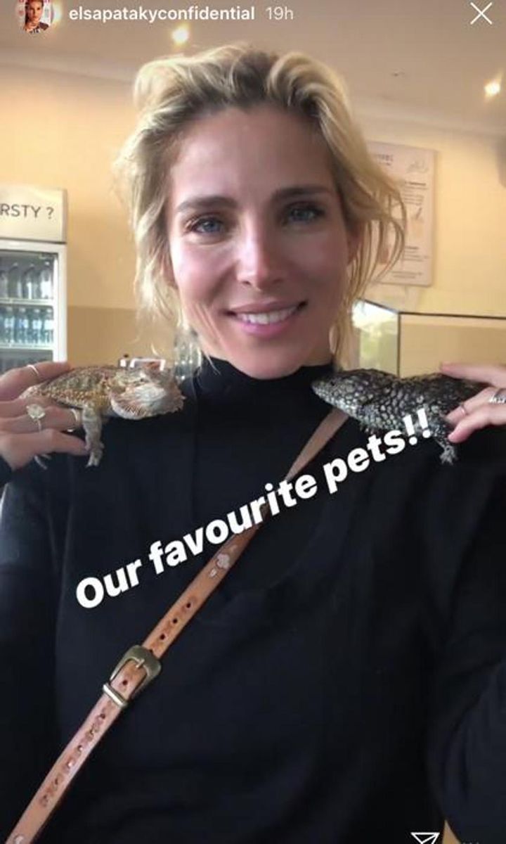 The Hemsworth Lizards