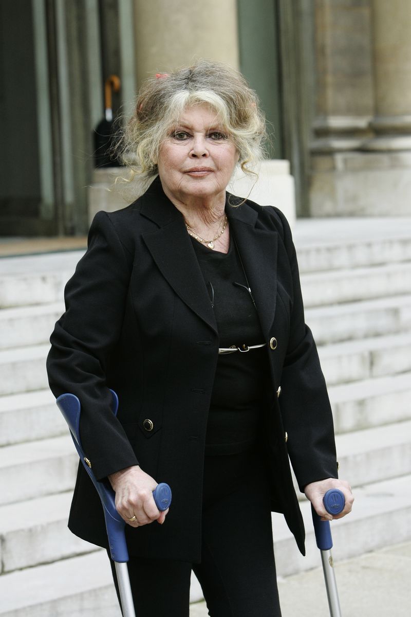 Brigitte Bardot Invited For A Meeting On The Environment With French President Nicolas Sarkozy, At The Elysee Palace In Paris, France On September 27, 2007