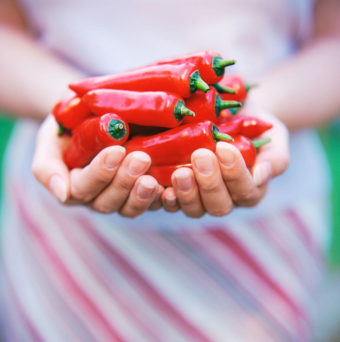 Chili Peppers: Spice Up Your Life