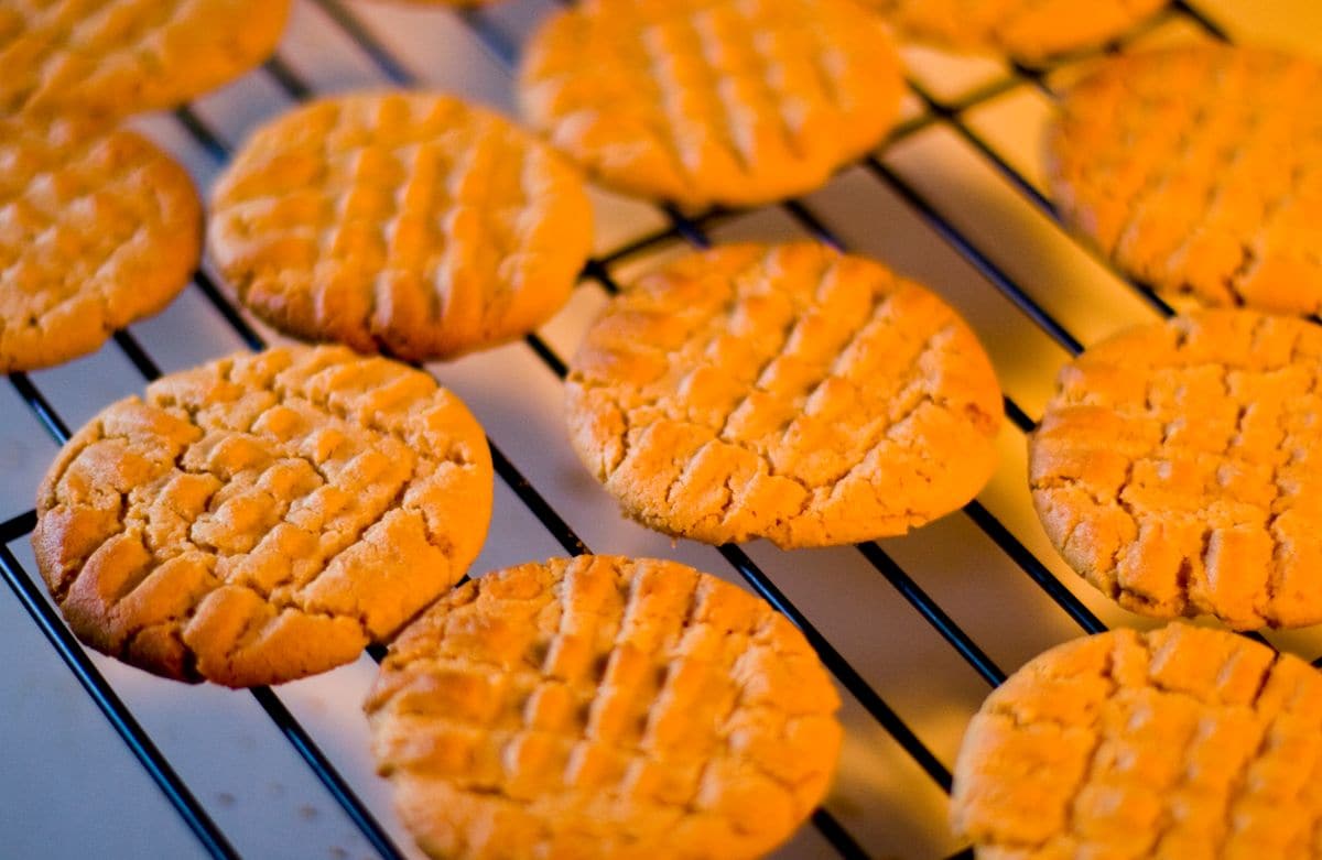 Freshly baked peanut butter cookies