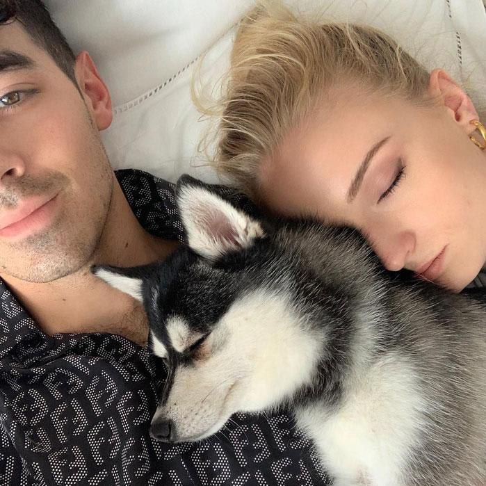 Joe Jonas and Sophie Turner with dog Porky