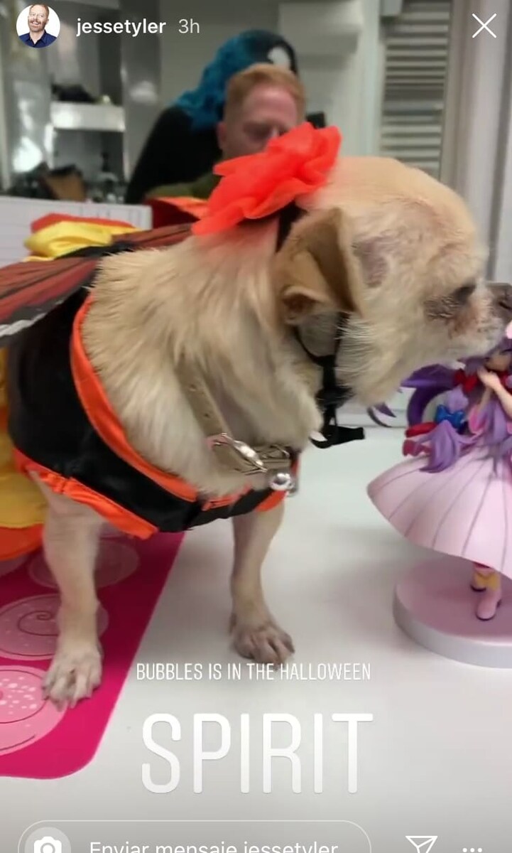 Las mascotas de los famosos tambien quieren 'dulce o truco'