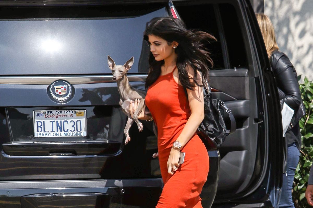 LOS ANGELES, CA - JUNE 03: Kylie Jenner promotes TopShop at the Grove with her dog Norman on June 03, 2015 in Los Angeles, California. (Photo by Papjuice/Bauer-Griffin/GC Images)